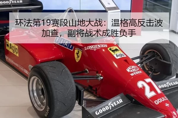 环法第19赛段山地大战：温格高反击波加查，副将战术成胜负手